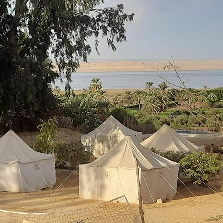 Tunis Camp Al Fayyūm Eksteriør billede