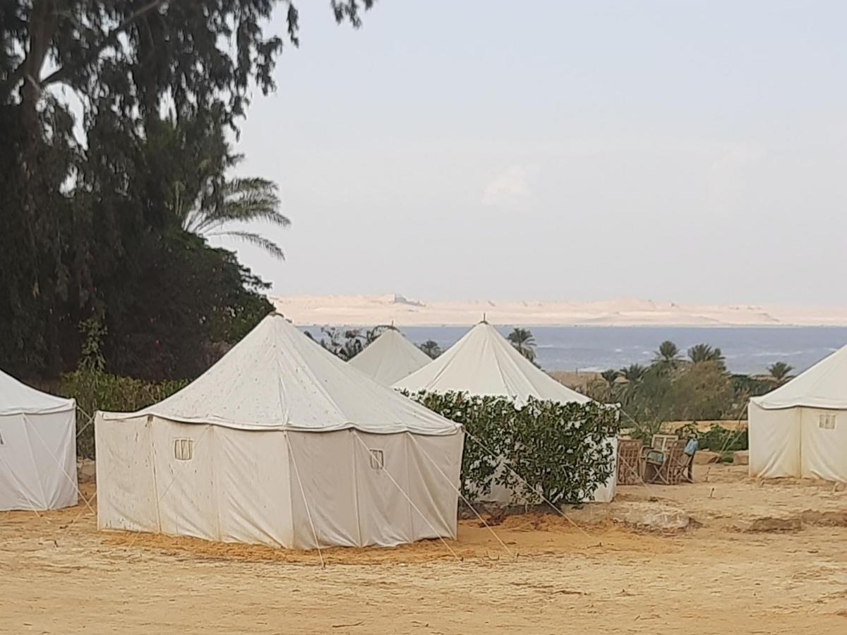 Tunis Camp Al Fayyūm Værelse billede