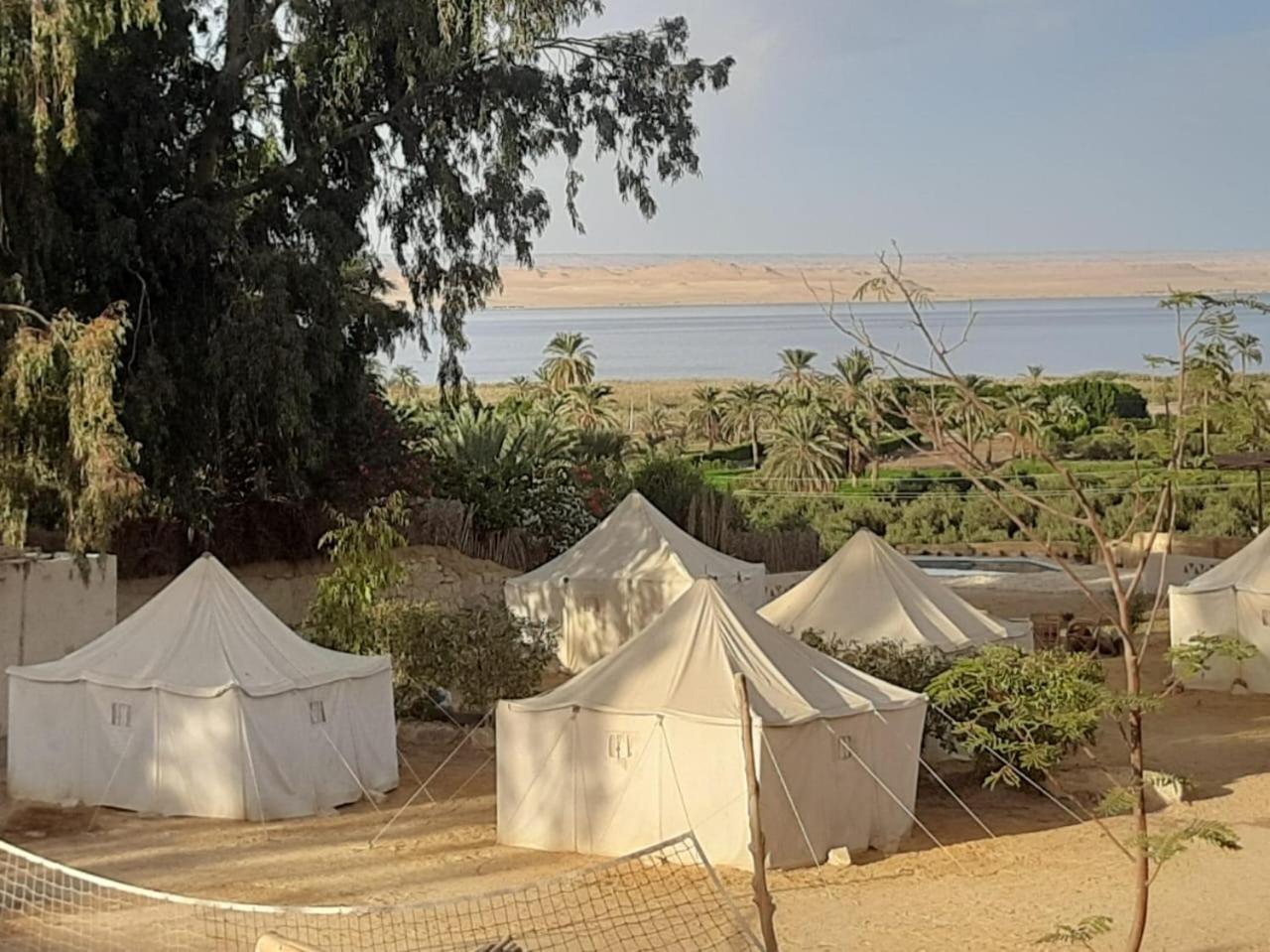 Tunis Camp Al Fayyūm Eksteriør billede